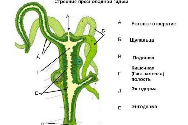 Кракен дарк площадка