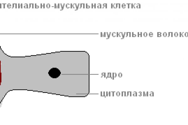 Kraken 15at сайт