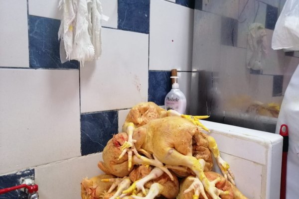 Правильная ссылка на kraken телеграмм