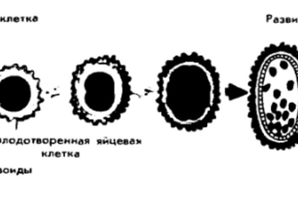 Открыть даркнет