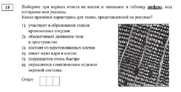 Kra29at